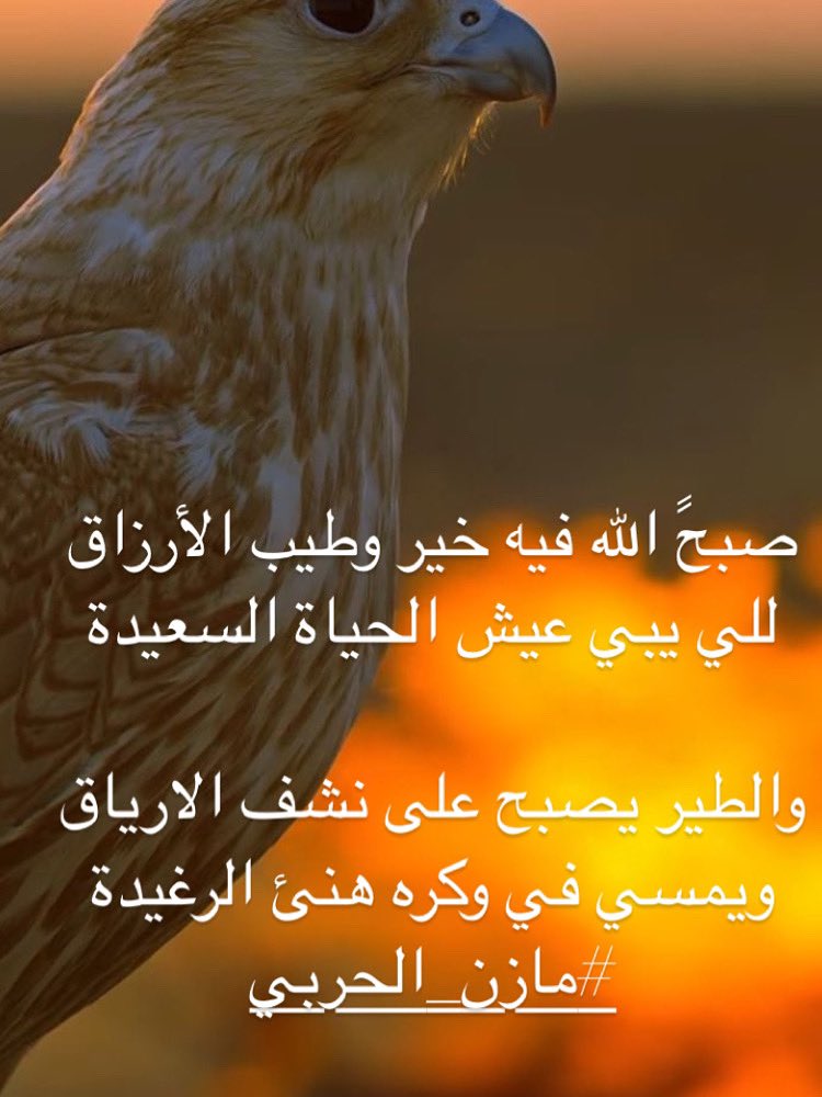 صبحً الله فيه خير وطيب الأرزاق 
للي يبي عيش الحياة السعيدة

والطير يصبح على نشف الارياق 
ويمسي في وكره هنئ الرغيدة
#مازن_الحربي