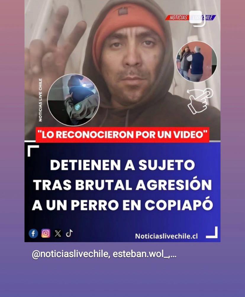 Otro más a la lista! Un maltratador horrendo ! Golpeó salvajemente a su perrito 🐶 que ya fue rescatado y adoptado! Está libre! Solo con firma mensual! Que vergüenza! RT poder judicial nuevamente falló como es de costumbre! #PoderJudicialnosirve