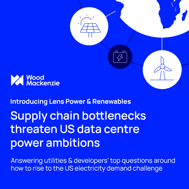 The US power sector faces an unprecedented supply chain crisis as AI-driven data centre demand collides with decades of underinvestment in electricity infrastructure.
  
Our analysis reveals that supply chain constraints, not just regulatory hurdles, now pose the greatest threat