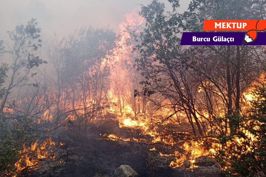 "Bu düzende yanan sadece ağaç değildir. Halkın yaşam alanı, geçim kaynağı, çocukların nefesi, kadınların dayanma gücü kül olur. Ve bu yangının faili açık ve nettir: Devletin doğrudan tercih ettiği sermaye yanlısı politikalar."

✉️Burcu Gülaçtı
ekmekvegul.net/mektup/bu-yang…