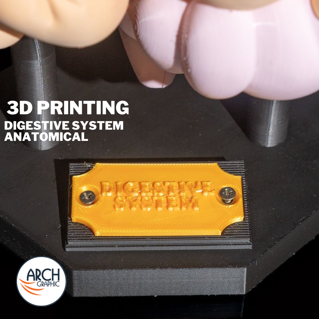 3d_archgraphic's tweet image. 🩺 3D Printed Digestive System Model 🔬
High-detail anatomical model for medical education
arch-graphic.com
#3DPrintingUAE #Medical3DPrinting #DigestiveSystem #AnatomicalModels #Healthcare3DPrinting #MedicalEducationUAE #SurgicalTraining #UAE3DPrint