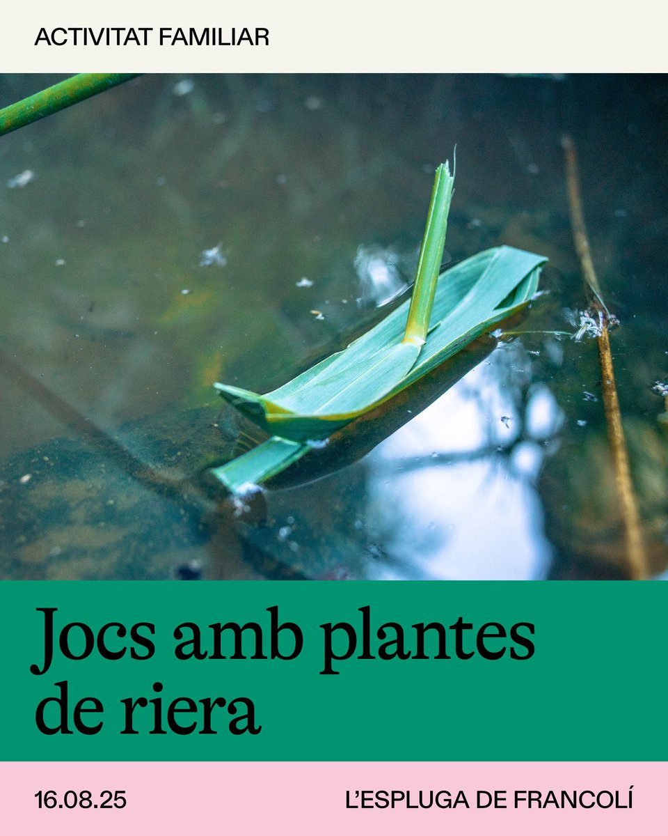 Museu Terra (@museu_terra) on Twitter photo 👨👦👦 Activitat familiar | 🌱 «Jocs amb plantes de riera»
👉 Els @corremarges us inviten a explorar la rica vegetació que habita les nostres rieres i a transformar-la en jocs i instruments únics fets amb les pròpies mans.
📆 16.08.25
🕖 11.30—13 h
📍 Museu Terra de l'Espluga de 👨👦👦 Activitat familiar | 🌱 «Jocs amb plantes de riera»
👉 Els @corremarges us inviten a explorar la rica vegetació que habita les nostres rieres i a transformar-la en jocs i instruments únics fets amb les pròpies mans.
📆 16.08.25
🕖 11.30—13 h
📍 Museu Terra de l'Espluga de