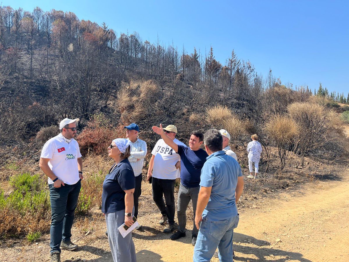 DoganayTolunay's tweet photo. Geçtiğimiz günlerde Ege Orman Vakfının davetiyle @oguzkurdoglu ve Ali Kavgacı hocalarımla İzmir’de yanan orman alanlarında incelemelerde bulunduk. @EgeOrmanVakf ına teşekkür ederiz. Bazı gözlemlerimizi aşağıda açıklıyorum. https://t.co/fcbKSRs54N