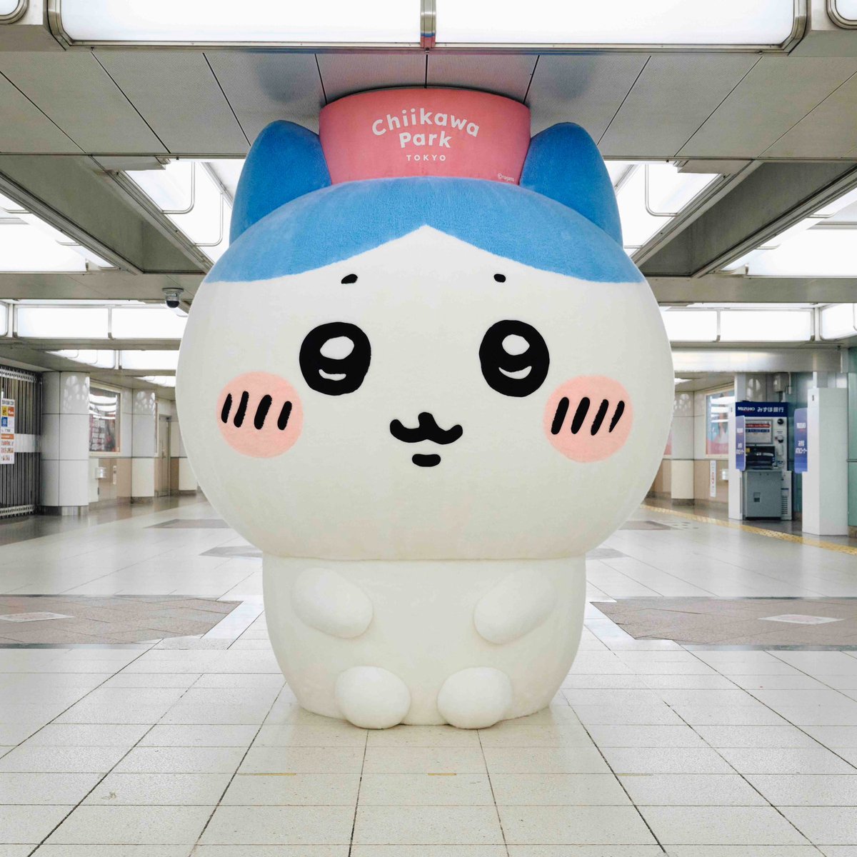 ★ ミケ様 ★ みけ (@mike39mike39) / Posts / X