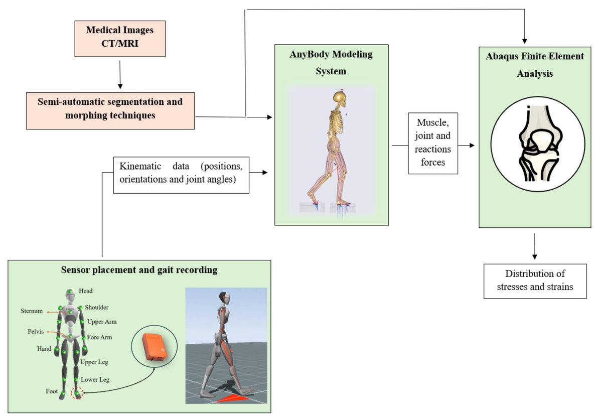 TechAnyBody's tweet image. New open-access paper about 𝐁𝐢𝐨𝐦𝐞𝐜𝐡𝐚𝐧𝐢𝐜𝐚𝐥 𝐌𝐨𝐝𝐞𝐥𝐢𝐧𝐠 𝐚𝐧𝐝 𝐒𝐢𝐦𝐮𝐥𝐚𝐭𝐢𝐨𝐧 𝐨𝐟 𝐭𝐡𝐞 𝐊𝐧𝐞𝐞 𝐉𝐨𝐢𝐧𝐭: 𝐈𝐧𝐭𝐞𝐠𝐫𝐚𝐭𝐢𝐨𝐧 𝐨𝐟 𝐀𝐧𝐲𝐁𝐨𝐝𝐲 𝐚𝐧𝐝 𝐀𝐛𝐚𝐪𝐮𝐬

🔗 mdpi.com/2673-7078/5/3/…