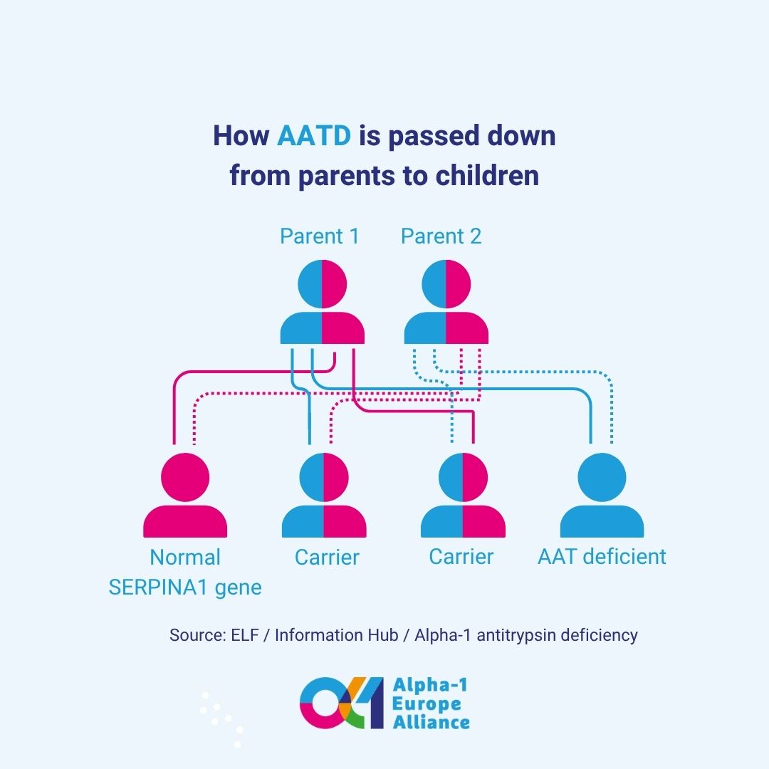 Alpha-1 Europe Alliance asbl tweet media