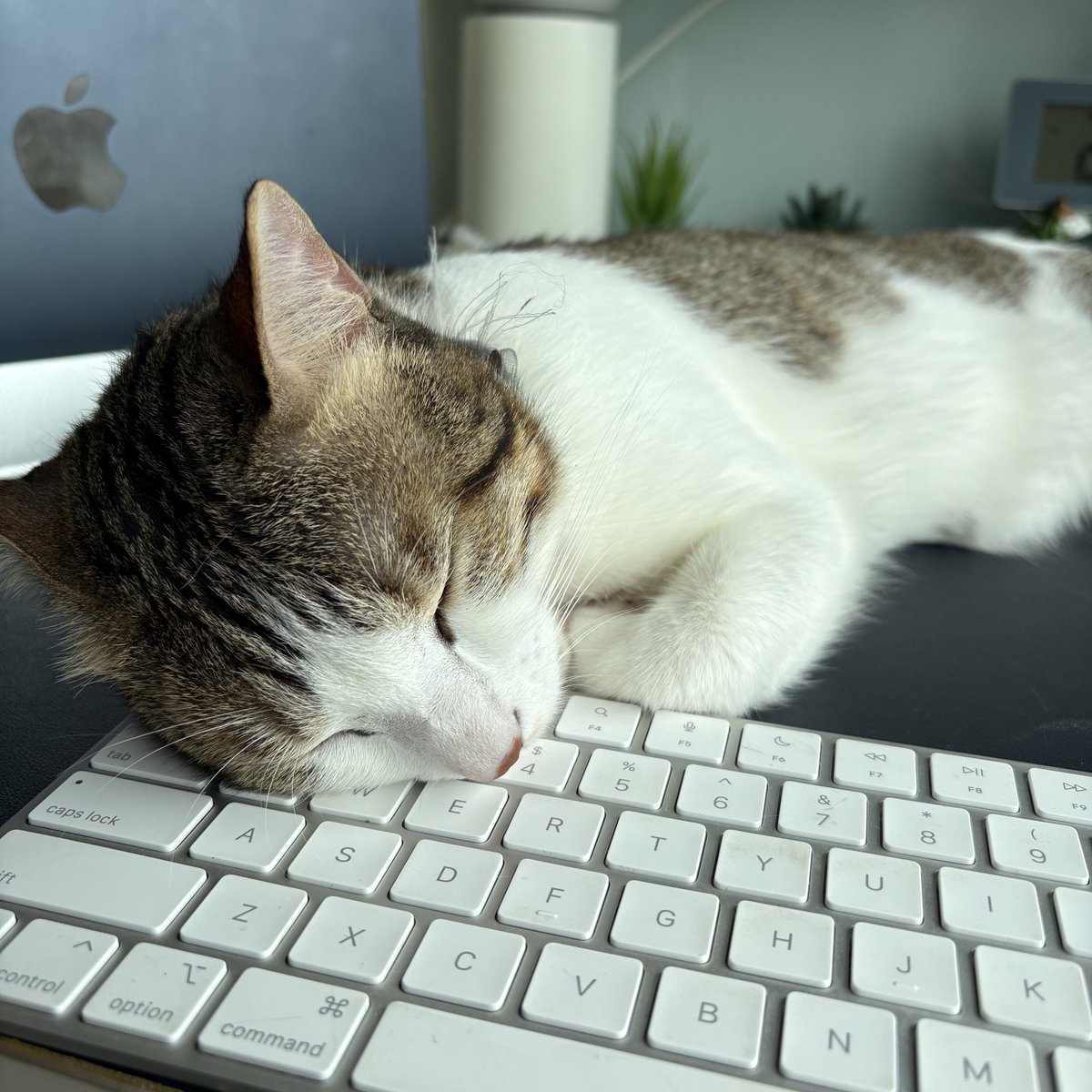 shlokafc's tweet photo. okay, how am i supposed to work now? https://t.co/o7YXffL0Ud