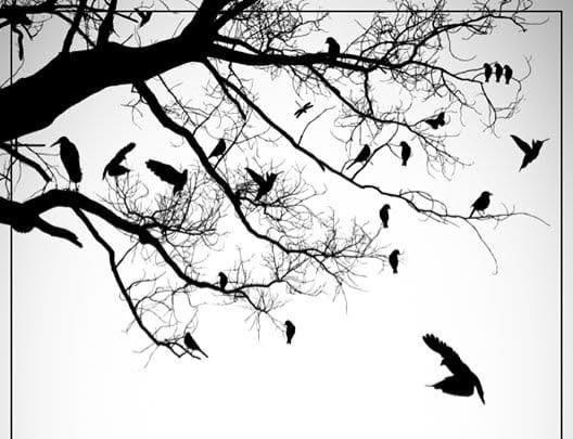 Worries and Tensions are like birds,we cannotstop them from flying near us, but we can certainly stop them from making anestin our mind💯
🫴STAY POSITIVE 
🫴MINDSET