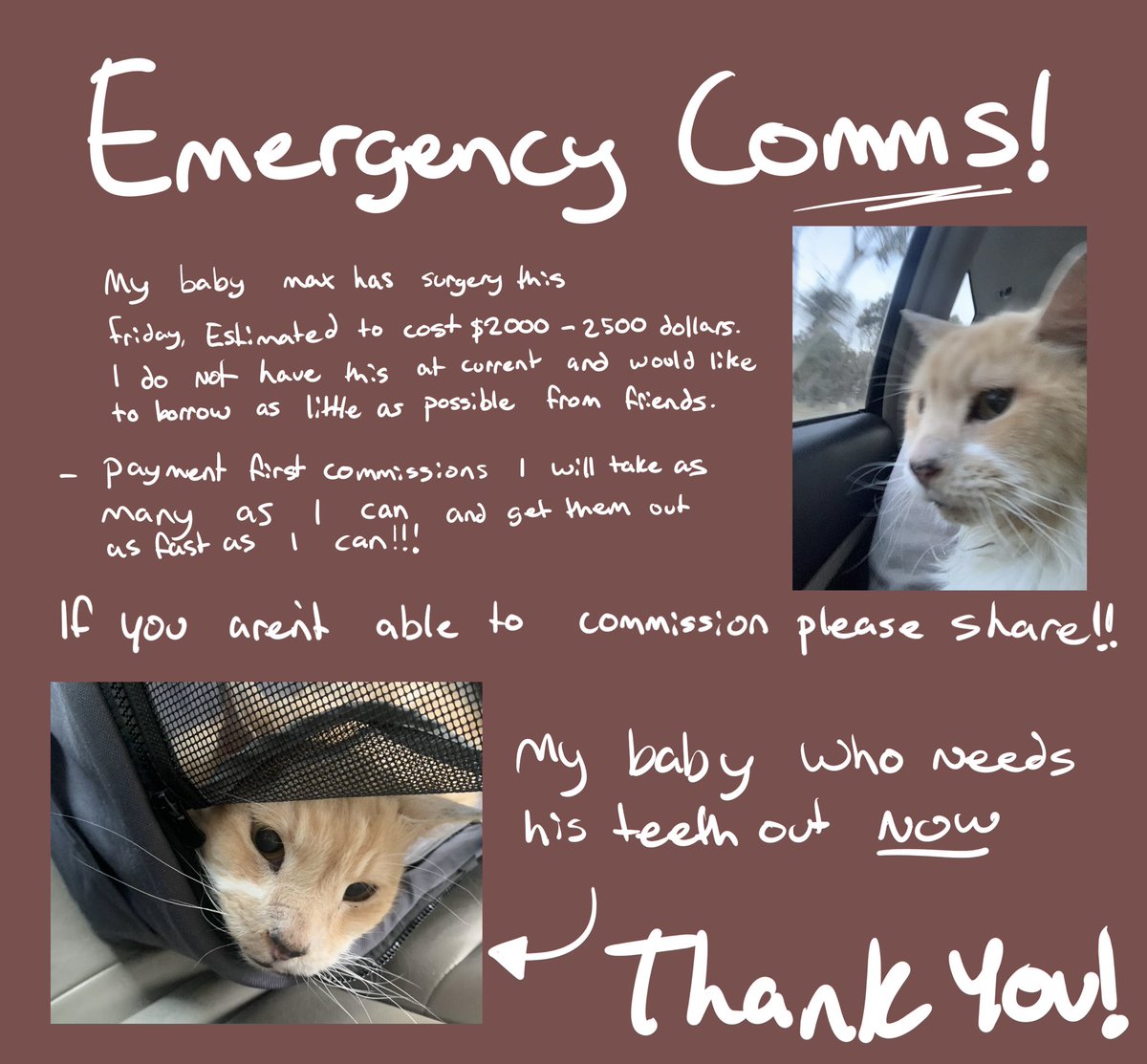 Yas 🐳 tweet media