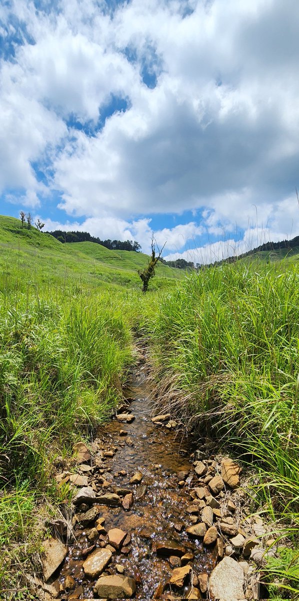 I want to continue building on what I did last month.