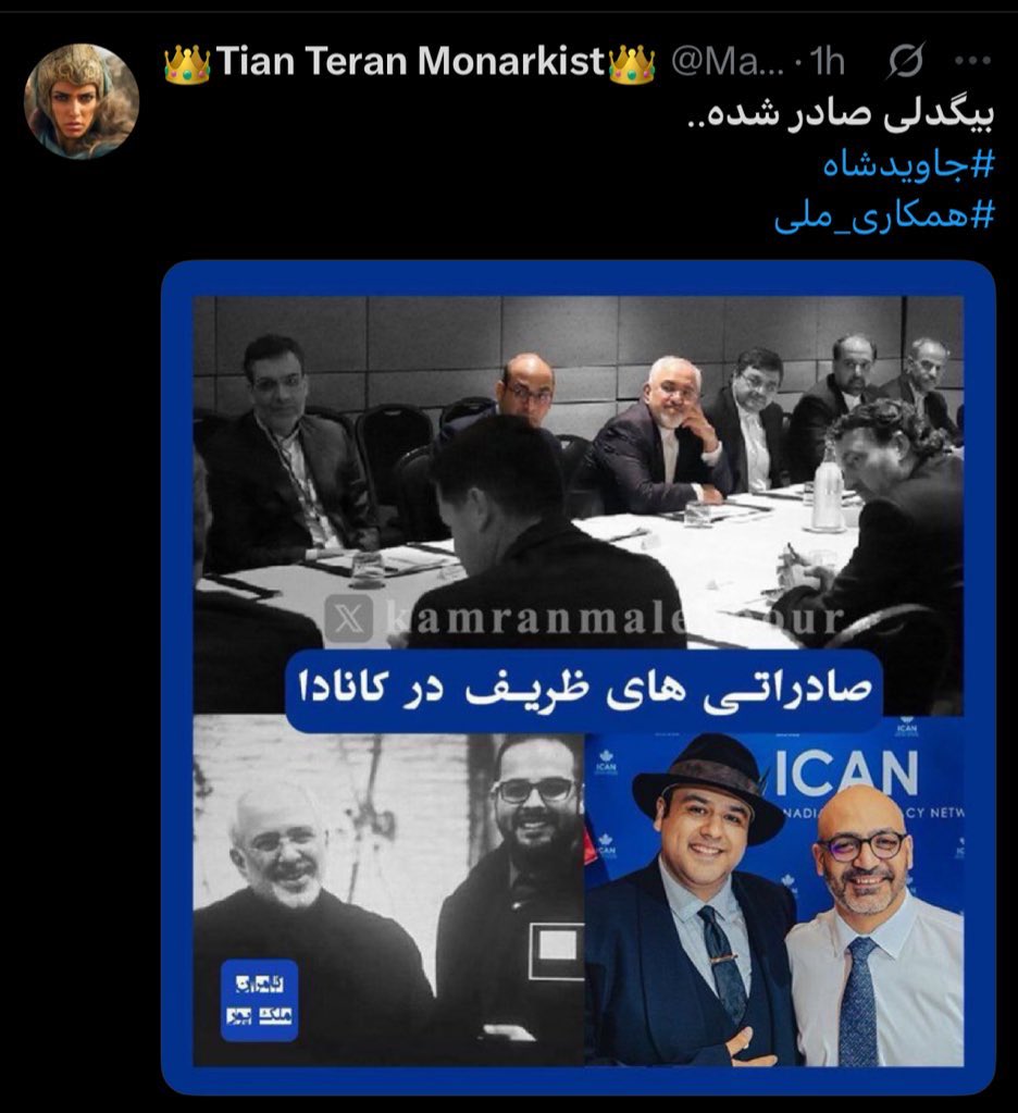 بیگدلی صادر نشده. بیگدلی ریزش کرده و جذب شده. ریزش حداکثری و جذب حداکثری، از روز اول هدف اصلی شاه ایران بوده، که امروز به این هدف رسیده و هرچی نیروی آدم‌حسابی و نخبه هست ریزش کرده و جذب شده. دلیل وحشت رژیم هم همینه. یعنی میگید شما لات‌های مجازی بهتر از رضاشاه دوم سیاست میفهمید؟!