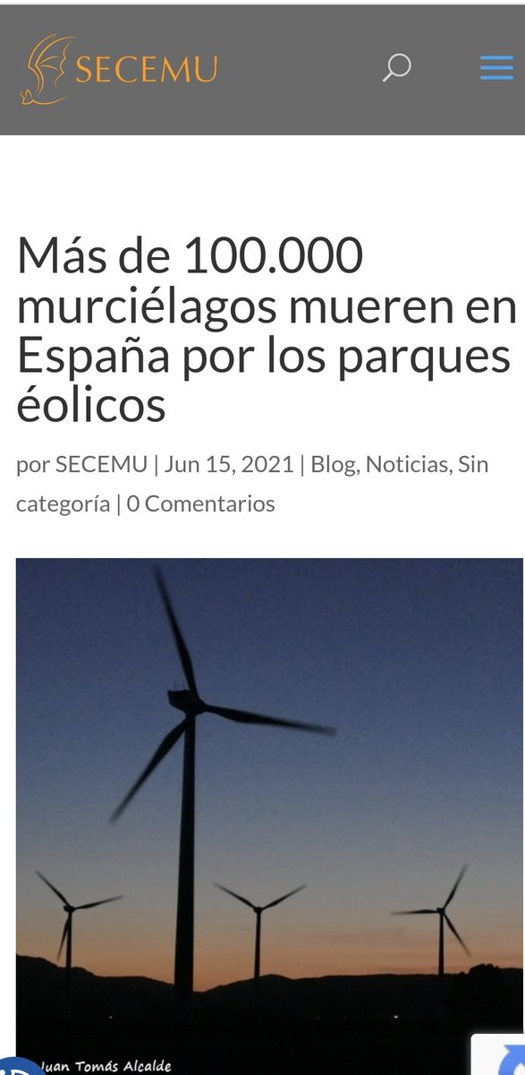 <a href="/elverdeninja/">El Ninja Verde</a> <a href="/SECEMU_/">SECEMU</a> También imperdible el momento en el que se habla de la cantidad de murciélagos que mueren al año por barotrauma (sus órganos internos explotan) debido a los molinos de viento. #renovablesSÍperoNOasí