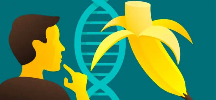 İnsan DNA’sı %60 oranında muzla aynı. Yani bazılarımızın davranışı bilimsel olarak açıklanabilir.