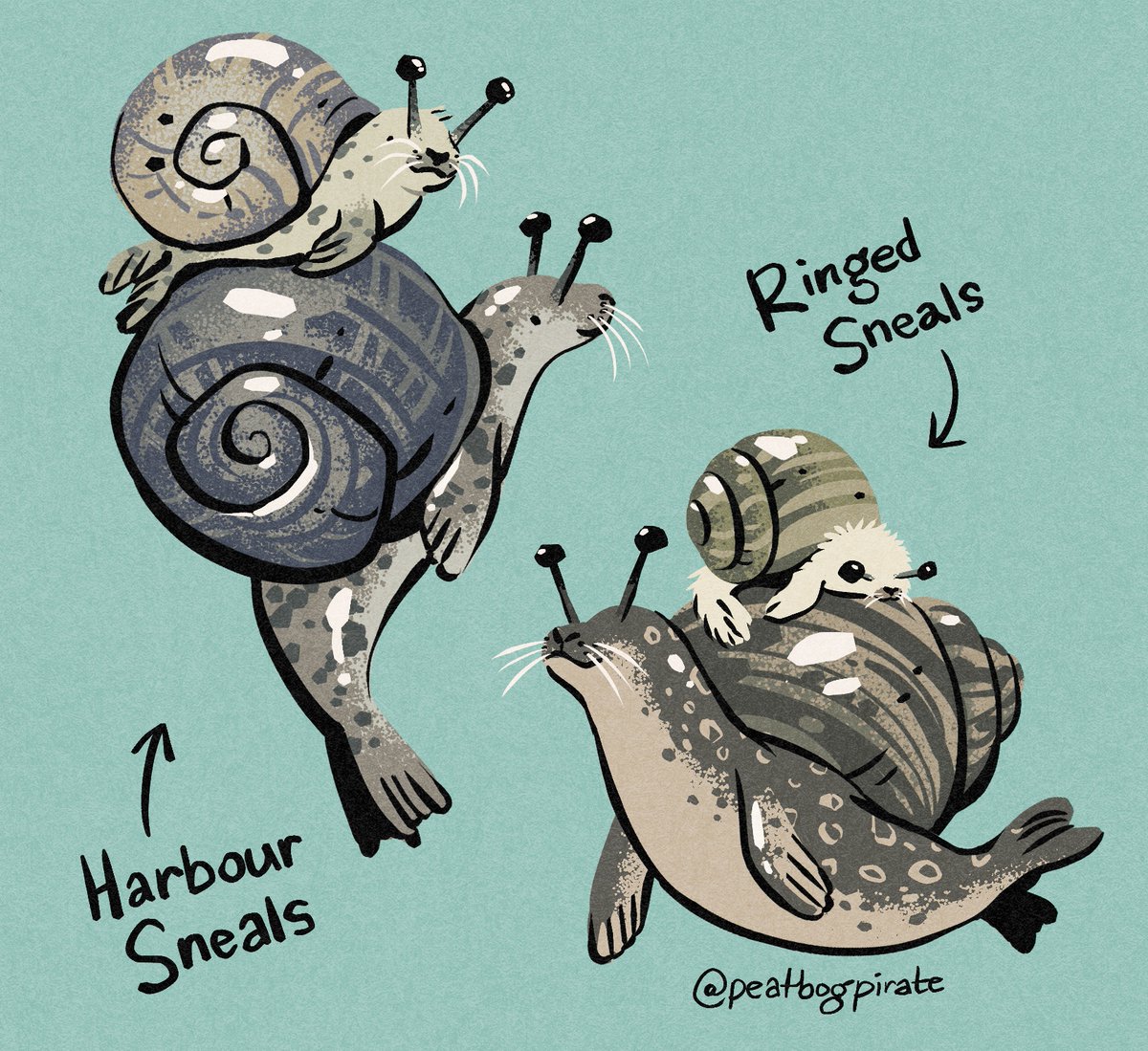 let's be sneals with mama :) 🐌🦭