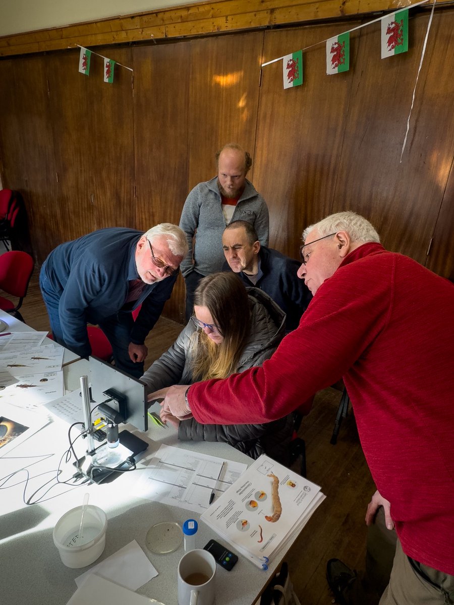 We have a smart rivers invertebrate ID training on the 11th August. Come along, learn how to do it and get access to all of our ID sessions. Book here, it’s free - welsh-dee-trust.teamkinetic.co.uk/volunteers/opp…