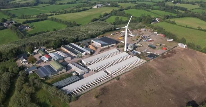 Please retweet, I recently posted re a licensed breeder in Northern Ireland that has over 900 breeding dogs. Those poor puppies will be distributed all over the UK. What quality of life do those breeding dogs have?  I became aware of them when I saw they had applied to extend to