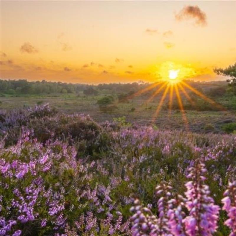 Join the Co-op 'Get out in nature this Summer' challenge from 26 July to 5 September. Get outdoors, log your time, and tell us all about your activities to be in with a chance of winning a share of over £2,000 worth of prizes 🙌  Sign up: coop.uk/4fiLMWf