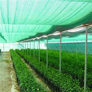 BenjaminNI67317's tweet image. A shade net is a mesh fabric used in nurseries to protect seedlings from too much sun, wind, and rain.
 It allows air and some light through, helps keep temperatures cool, and reduces water loss. 
Commonly, a 50% shade net is used for seedling nurseries
#farmingTips #FarmingSmart
