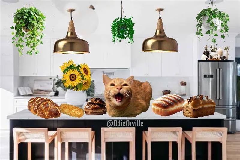 Good morning and Happy #kittyloafmonday friends! 😺👋

Which loaf would you choose? 😹

Have a great day! ❤