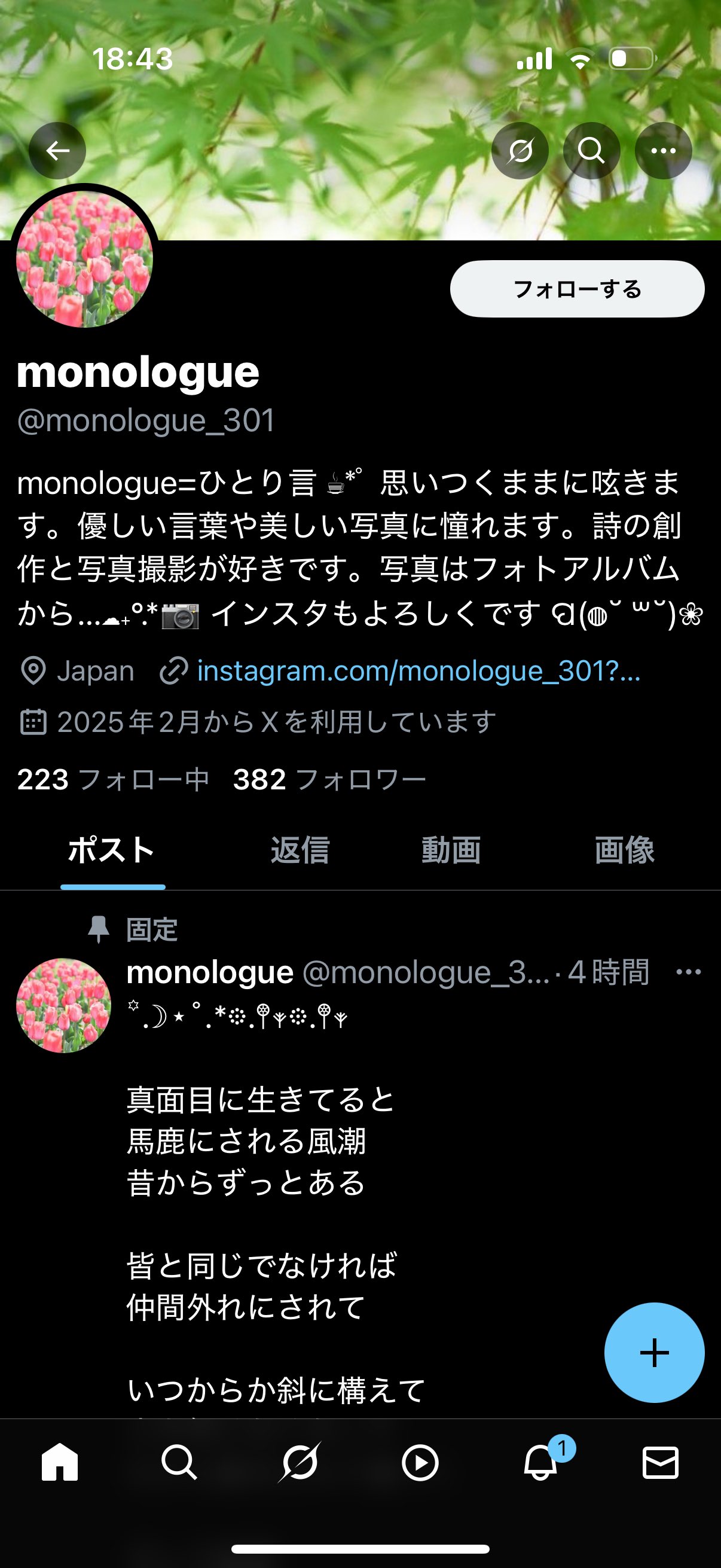 K　その他の方のご購入不可です 📸kazumi on X: 