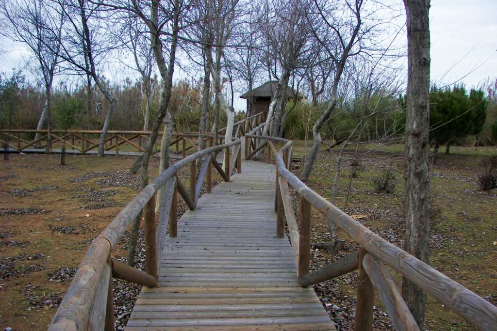 🔭 Observatorio Calatilla
Ideal para la observación de aves en las lagunas de las Marismas del Odiel 🐦🌿
Construido con materiales naturales, se accede por pasarela desde el centro de visitantes Anastasio Senra.
📍 Más info 👉 lajunta.es/5tdqe
#MarismasDelOdiel