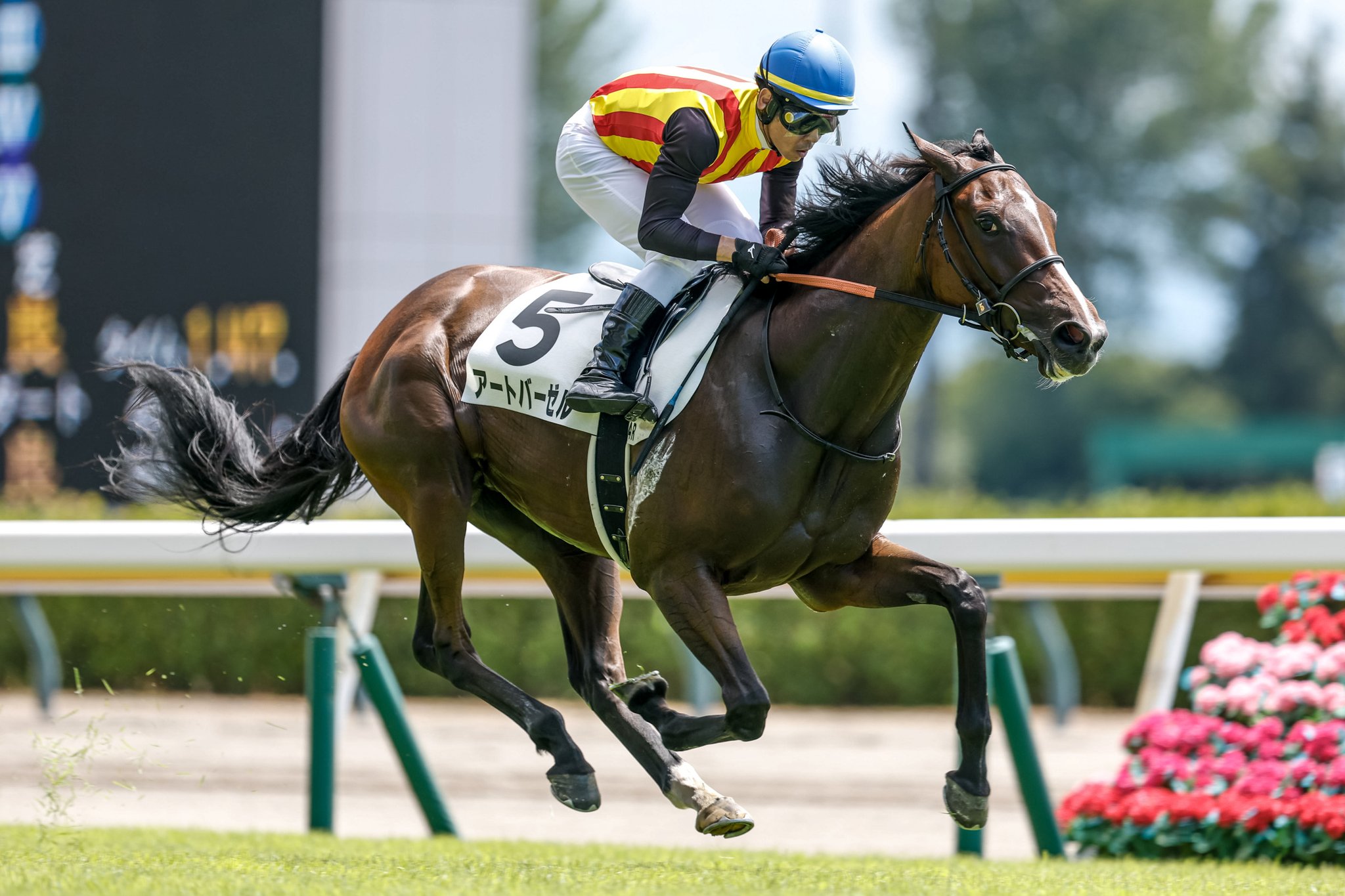 ソニーエンジェル　年賀状　馬　午　2014年　ウマ ソニーエンジェル 年賀状 馬 午 2014年 ウマ