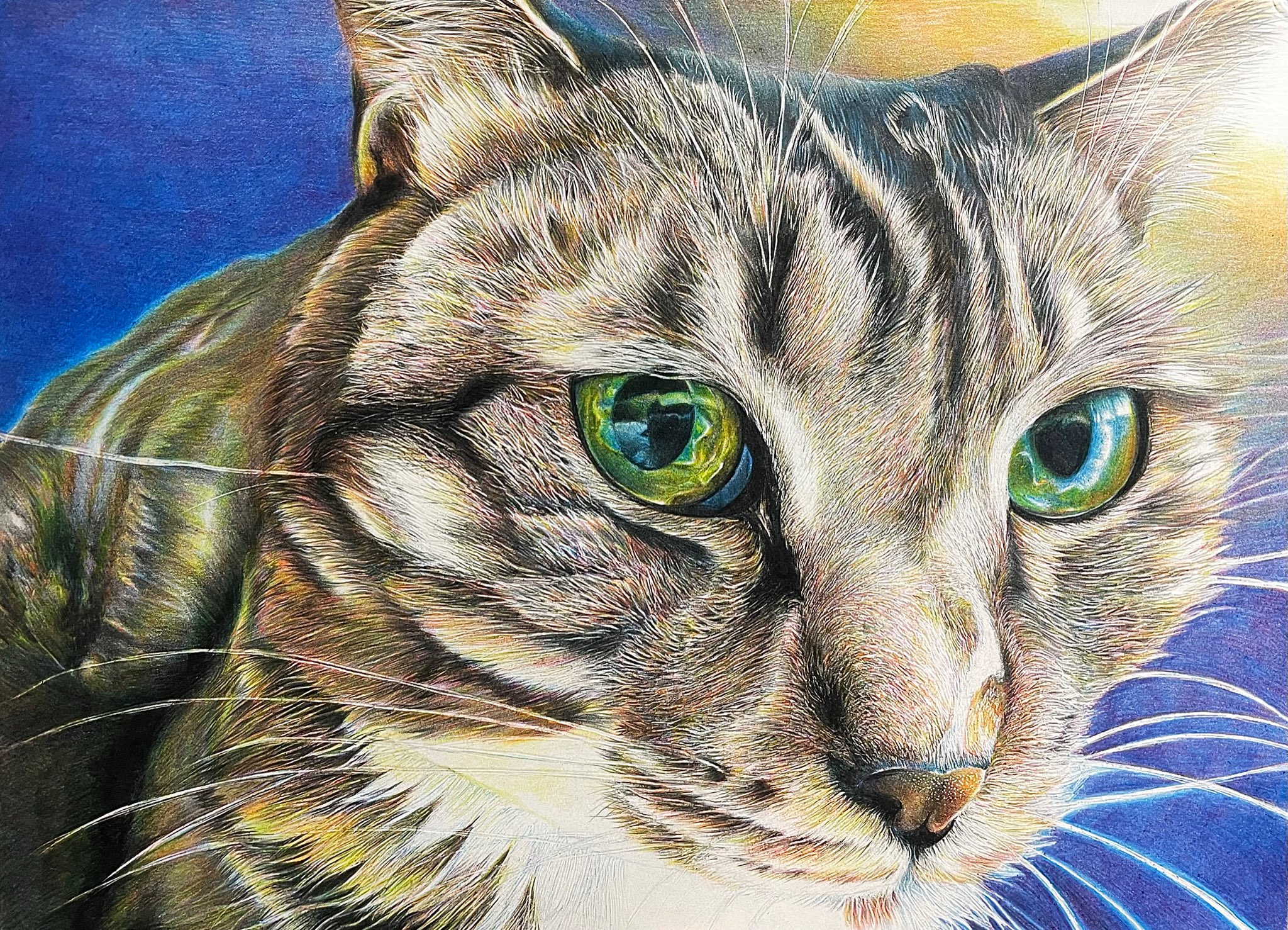 misaです 色鉛筆画　手描き原画 色鉛筆画 - Search / X