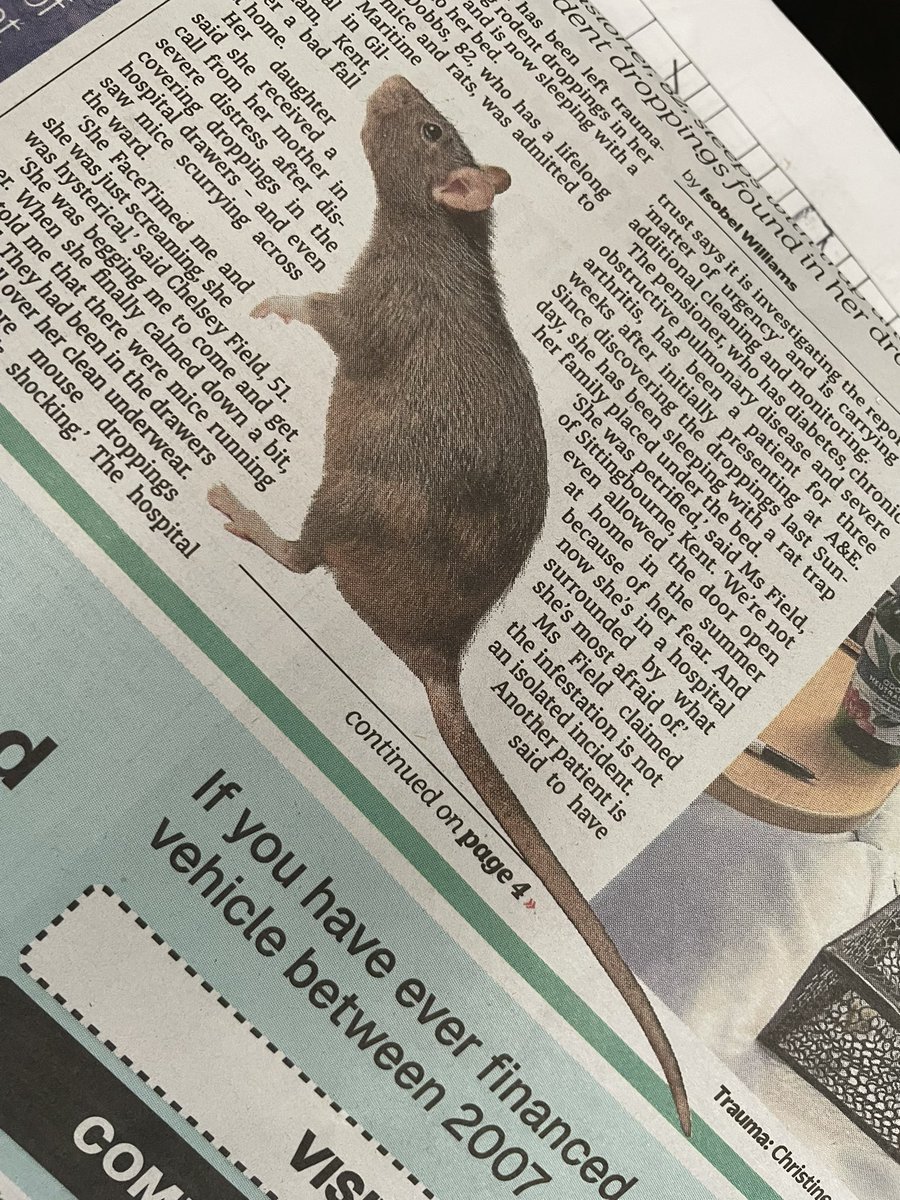 Bruno Fernandes in the Metro today