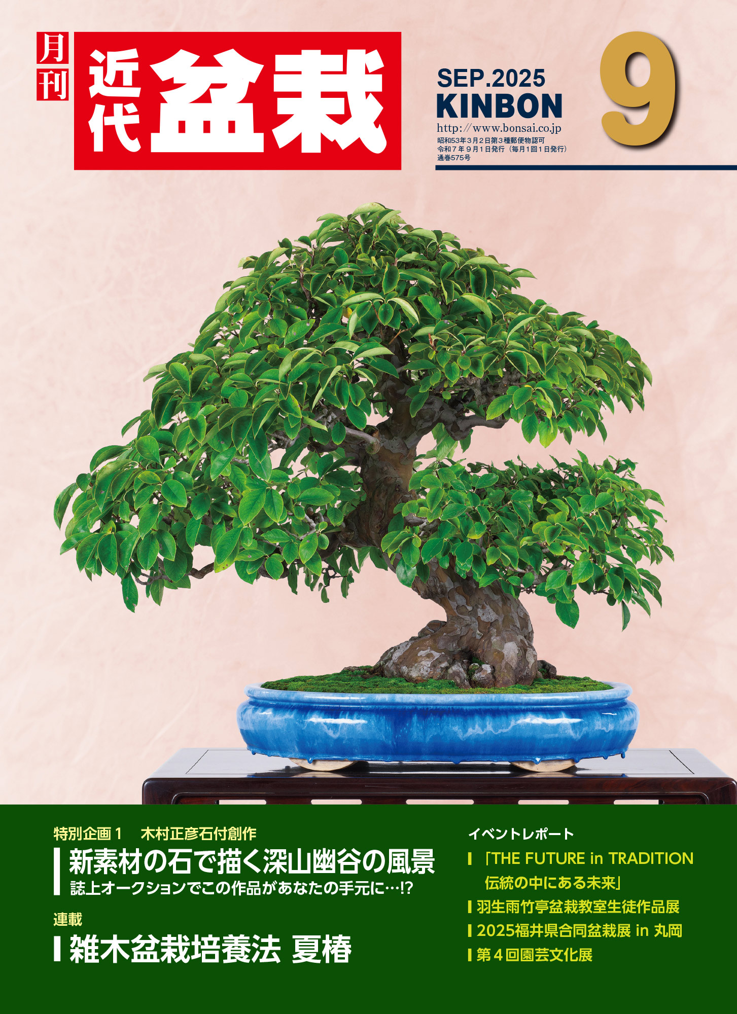 2012年2月　近代盆栽 樹づくりトラブル解決法｜アジア大会＆大観展レポート 2012年2月 近代盆栽 樹づくりトラブル解決法｜アジア大会＆大観