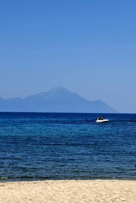 Катерина Галич tweet media