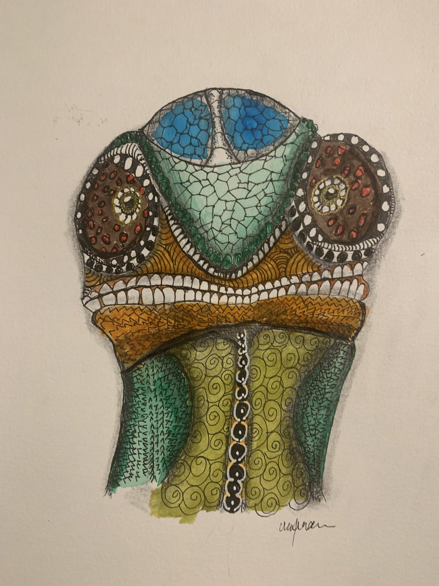 The Chameleon Sits For a Portrait