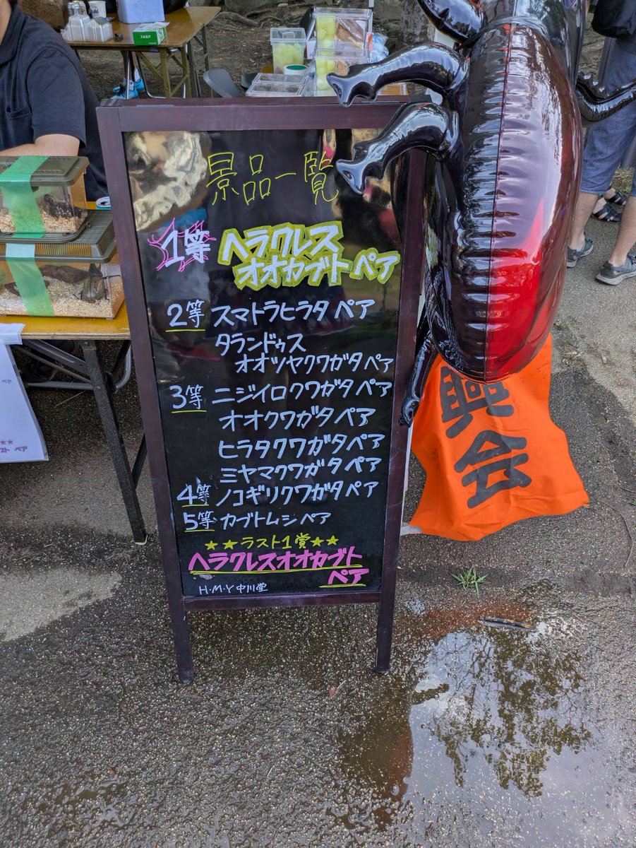 こんにちは〜🌞

8/2土曜3日曜に開催されました
山田富士公園夏祭り🎆
述べ2万人以上のお客様方
がご来場くださいました🙇
当店も虫友様方のお力を借りて
出店させて頂き大盛況の元
終える事ができました✨
ご来場くださいましたお客様、
お力を頂いた虫友様ありがとう
ございました🙇🙇🙇🙇🙇