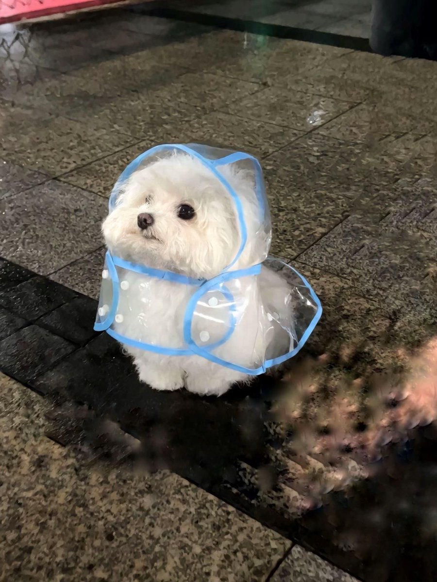 ♡ (@heart_jpg) on Twitter photo 