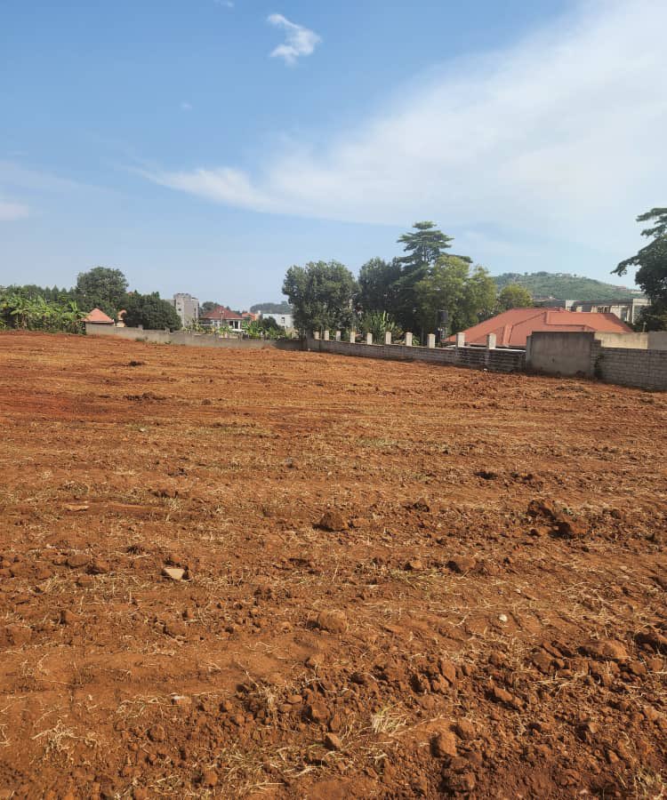 bruno_akampa's tweet image. Good Land Deals this week. Slight Negotiable. Land Titles available. 50x100ft

• Kiwenda - 27M
• Busiika - 16M
• Bweya - 80M
• Kakiri - 14M
• Garuga - 70M
• Nakasajja - 28M

📞 0704408763