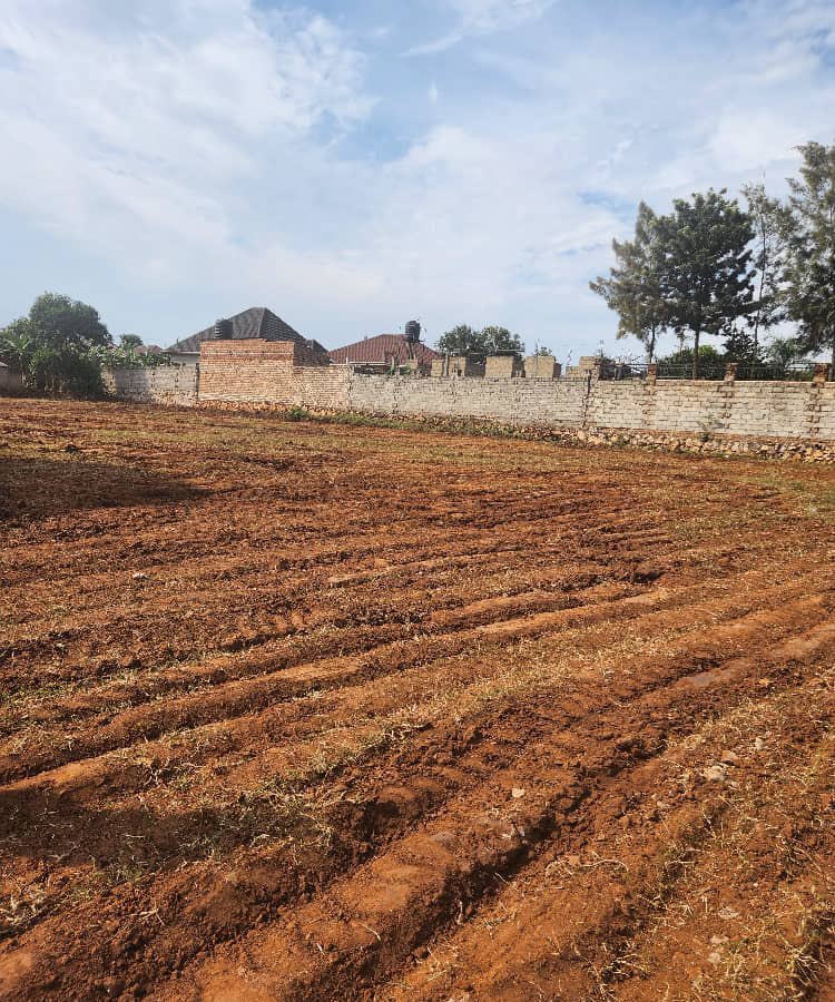 bruno_akampa's tweet image. Good Land Deals this week. Slight Negotiable. Land Titles available. 50x100ft

• Kiwenda - 27M
• Busiika - 16M
• Bweya - 80M
• Kakiri - 14M
• Garuga - 70M
• Nakasajja - 28M

📞 0704408763