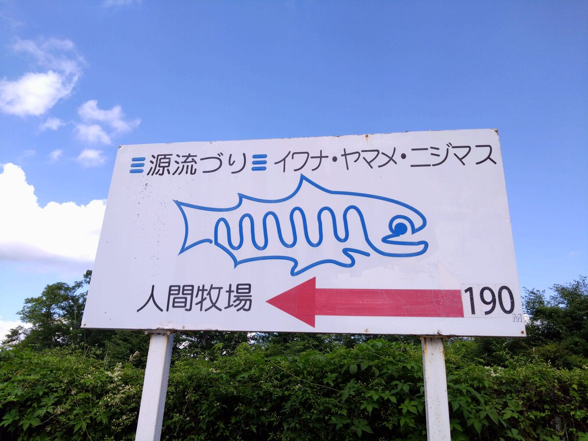 人間牧場ではイワナやヤマメ、ニジマスが人間を牧畜する