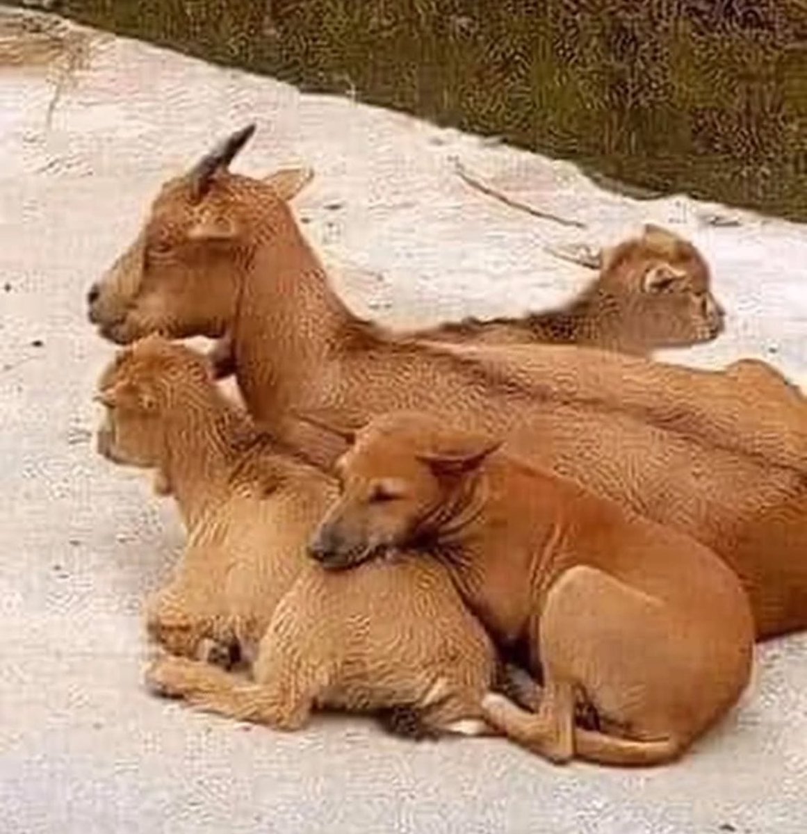Rest where you find peace abeg