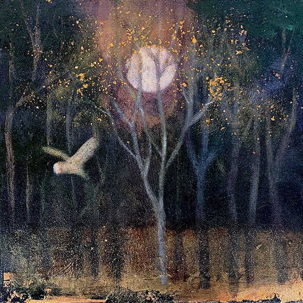 Night’s Wings by Catherine Hyde.
#OwlishMonday #fullmoon is coming