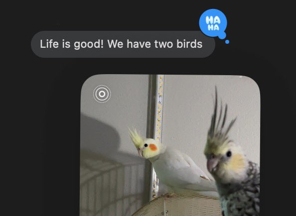 given this glimpse, i will now be maximizing the rate at which I collect delightful glimpses into lives completely different from mine. this glimpse significantly updated my priors on glimpses: glimpses, like everything, are power-law distributed.