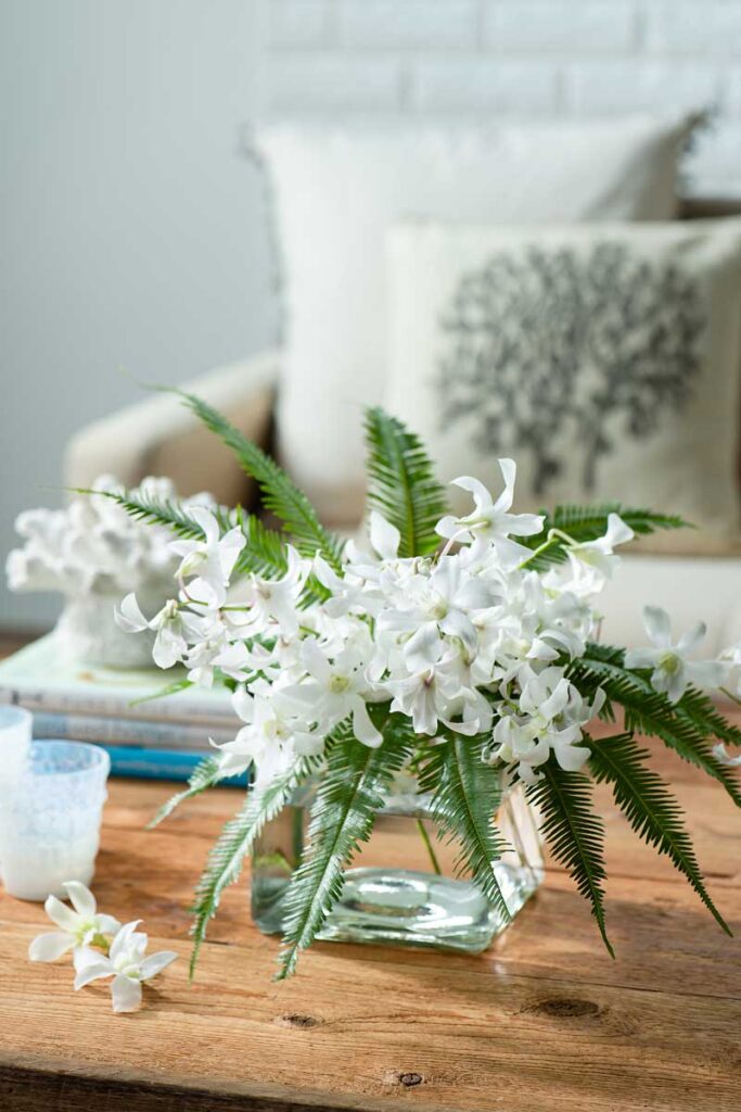 デンファレ #季節の花 ＼ 「デンファレ」は、デンドロビュームの交配種