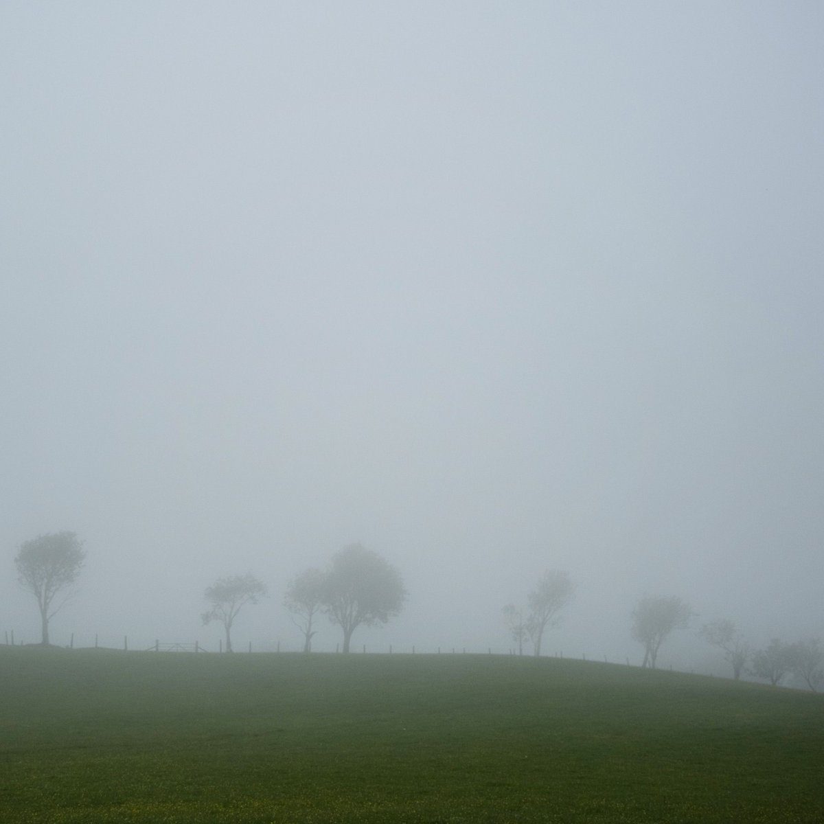 Lewis Bush tweet media