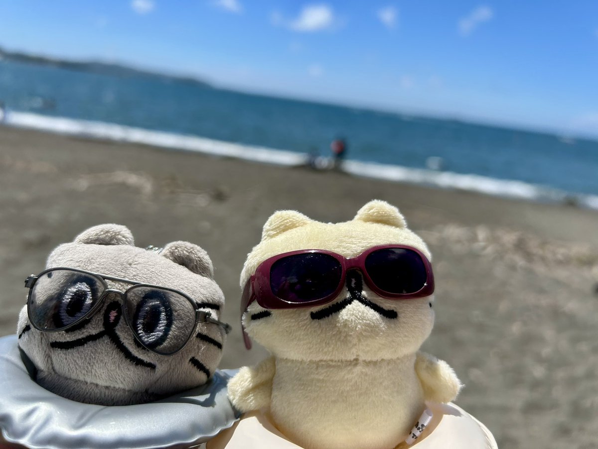 高橋きの 🐟ねこのぶーちゃん♨️ぶ〜の湯ありがとうご
