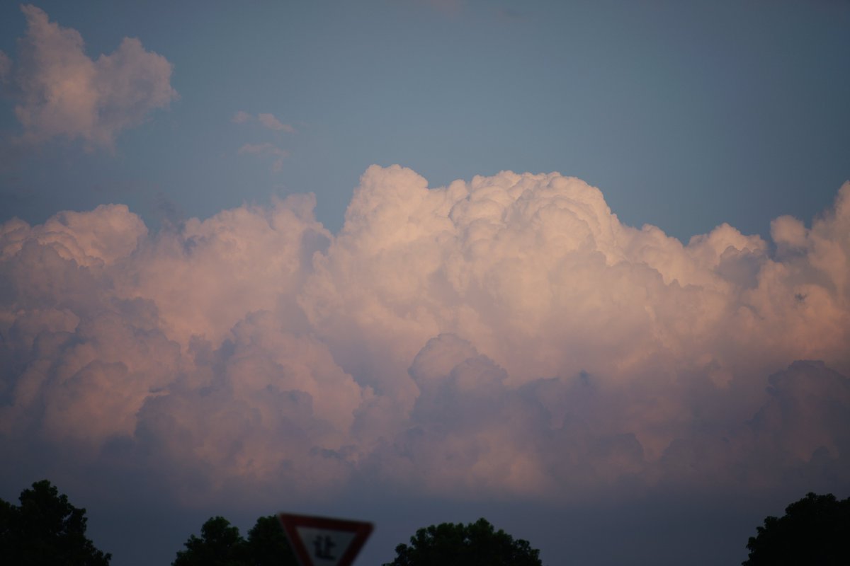 NumDistortion's tweet image. 热风