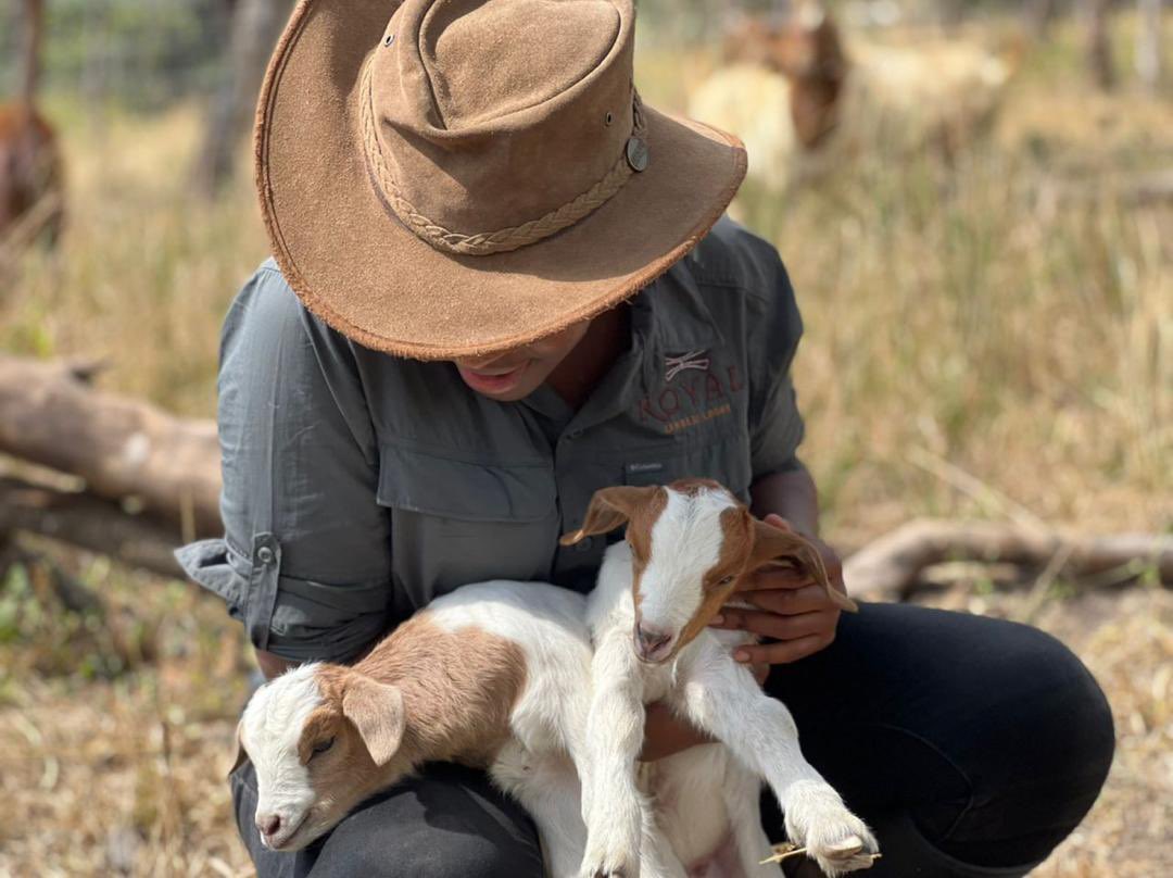 Chipokota Mwanawasa tweet media