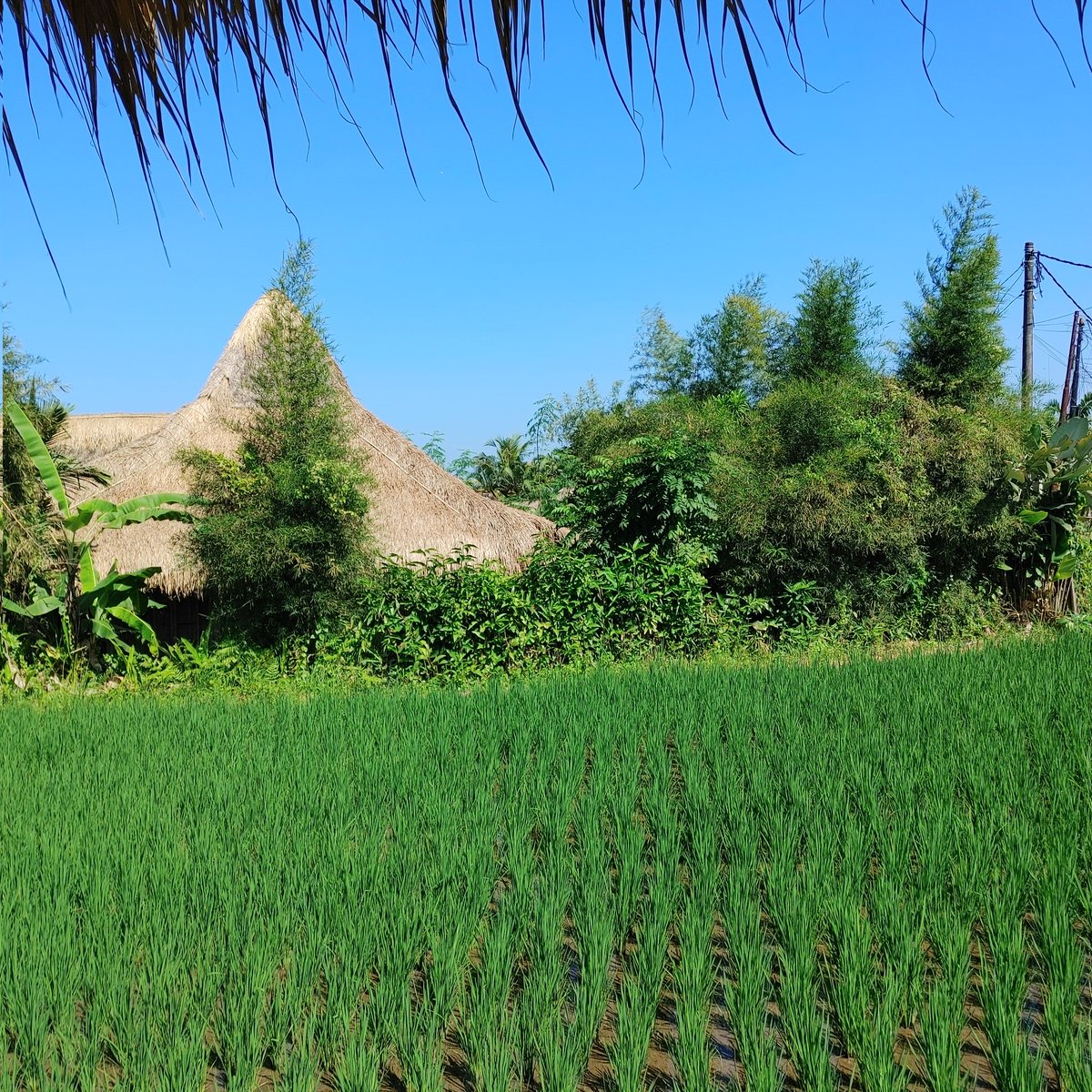 초록이 좋아시는 삶...green green