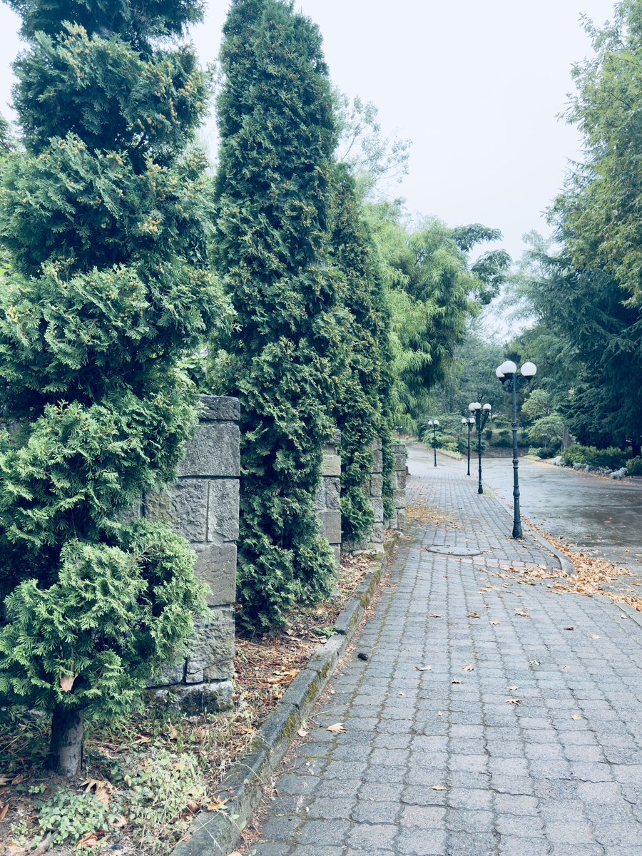 Ağustos’un serin yağmuruyla kampüsümüz bir başka güzel… ☔️ 🌧️

#günaydin #yenihafta #ktü #ktükampüs #karadeniztekniküniversitesi #yağmur