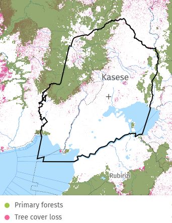 🌿 ERI Forest Watch | #Kasese 
📍 District: Kasese, Western Uganda
📊 Source: Global Forest Watch (2000–2024)