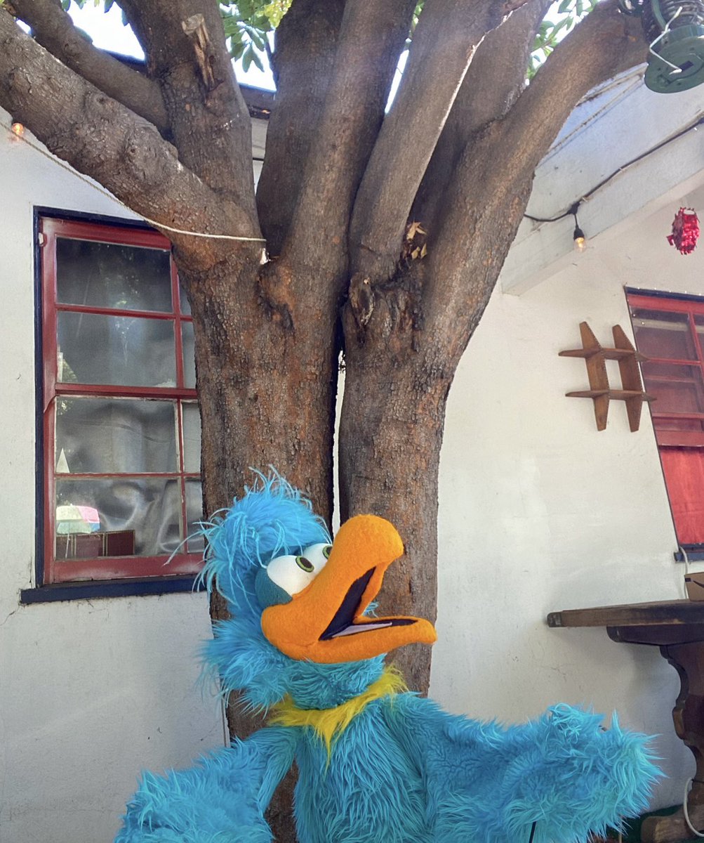 BirdCallRadio's tweet photo. Rise and squawk, er, shine! ☀️ 🦤
#birdcallradio #birdcall #morning #goodmorning #riseandshine #earlybird #bird #sunny #squawk #luckl https://t.co/8xNbj9vQ9l