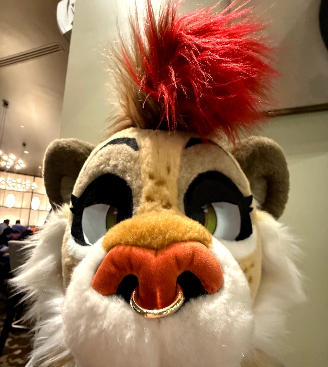 Who's going to WAFF?!