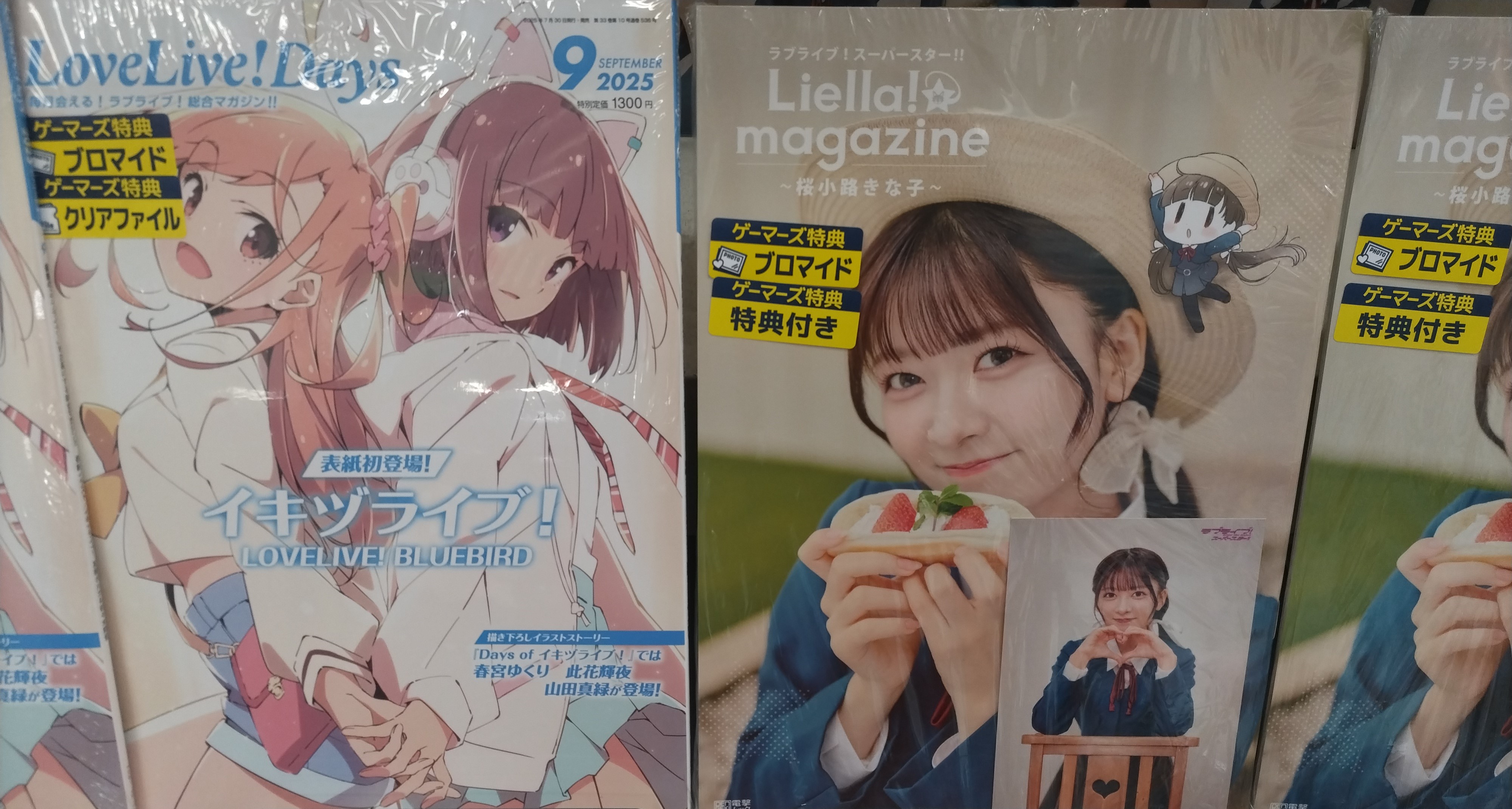 ゲーマーズなんば店 @「ゲーマーズ ​夏の本まつり2025」開催中